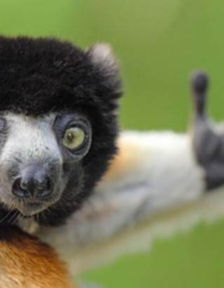 Klantvriendelijkste Bedrijf 2022