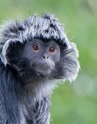 Belangrijke informatie over